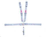 SIMPSON SAFETY 29072P 5-pt Harness System FX P/D W/A Ind 62in