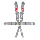 SIMPSON SAFETY 29073SP 6 Pt Harness System F/X P/D B/I