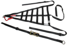 Load image into Gallery viewer, SIMPSON SAFETY DNC5RLP Driver Net Corvette Left Poly 28in x 15-3/4