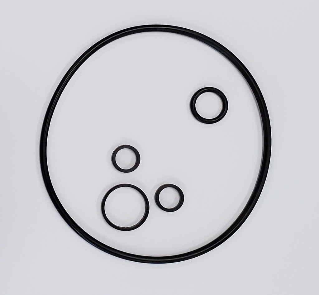 Borgeson SKPSPS Sagianw self-contained power steering pump seal kit.