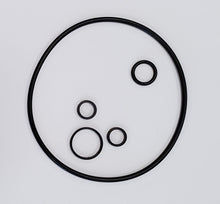 Load image into Gallery viewer, Borgeson SKPSPS Sagianw self-contained power steering pump seal kit.