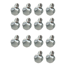 Load image into Gallery viewer, Differential-Bolts-(Chrome)---Set-Of-14