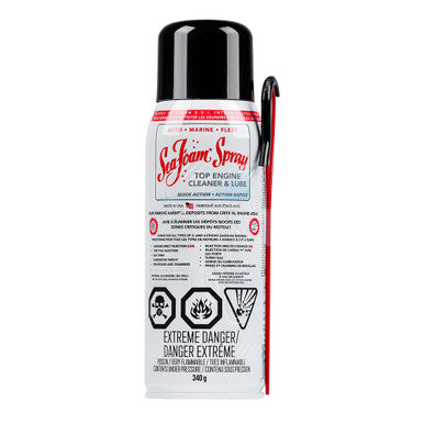 Sea Foam SS14CA Intake Cleaner And Lube, 2 And 4 Cycle Engines Only, 340 g