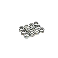Load image into Gallery viewer, Set-Of-12-Ptfe-Valve-Seals-For-.500-Guide-Size,-1132-Valve-Stem