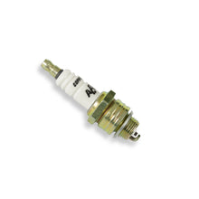 Load image into Gallery viewer, Spark-Plug-2-Display-Mc-137