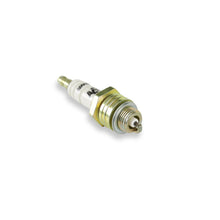 Load image into Gallery viewer, Spark-Plug-2-Display-Mc-137