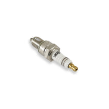 Load image into Gallery viewer, Spark-Plug-2-Display-Mc-496