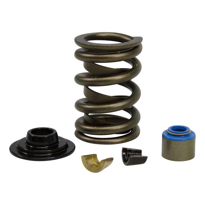 Spring-Kit,-Ford-Gt40--Gt40p-Cylinder-Head,-.570-Max-Lift