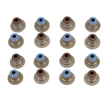 Load image into Gallery viewer, Spring-Seat-And-Seal-Kit-For-5.36.0L-Ls