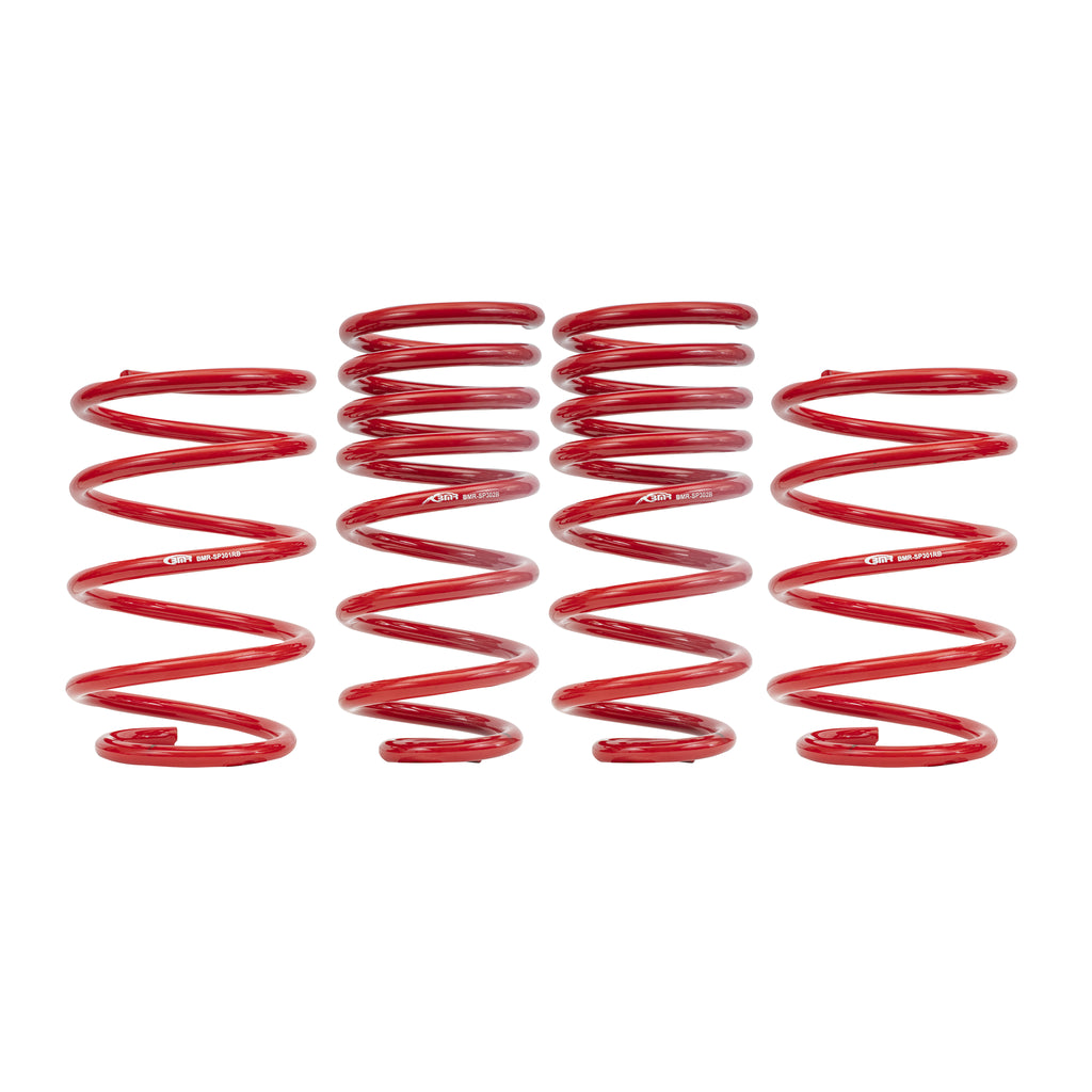 Suspension-Struts--Shock-Absorbers--Coil-Springs--Camber-Plate-Kit