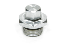 Load image into Gallery viewer, TIGER QUICK CHANGE 2102 Inspection Plug with O- ring for Sprint Center