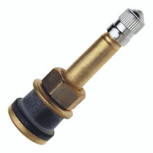 Load image into Gallery viewer, Tru-Flate 32-200-10 Clamp-In Valve Tr500