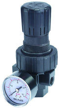 Load image into Gallery viewer, Tru-Flate 27-414 3/8&quot; Compact Regulator