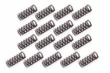 Load image into Gallery viewer, TSR RACING PRODUCTS APG-2832HD P/G HD Reverse Springs