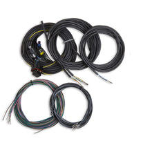 Load image into Gallery viewer, Terminated-Vehicle-Harness-For-Digital-Dash