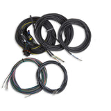 Holley 558-436 Terminated Vehicle Harness For Digital Dash