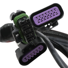 Load image into Gallery viewer, Terminator--Stealth-Series-Main-Harness