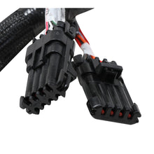 Load image into Gallery viewer, Terminator--Stealth-Series-Main-Harness