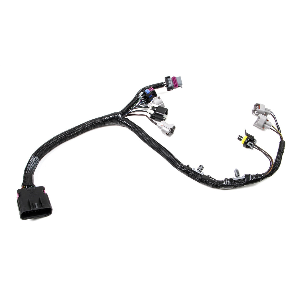 Terminator-205-LbHr-Injector-Harness