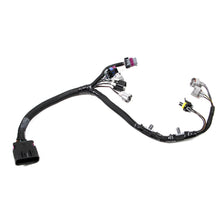 Load image into Gallery viewer, Terminator-205-LbHr-Injector-Harness
