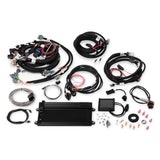 Holley 550-613 Terminator (R) LS MPFI