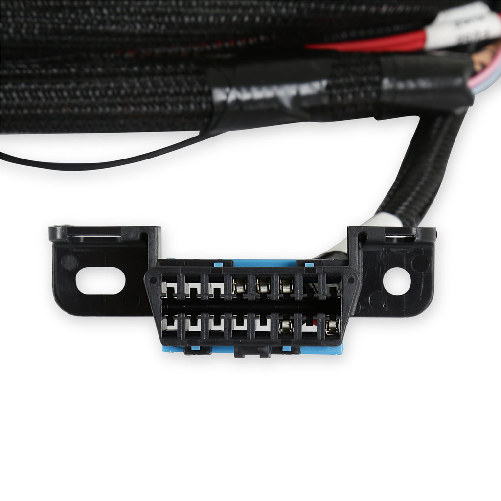 Terminator-X-Max-58X-Late-Truck-With--6L80-Control