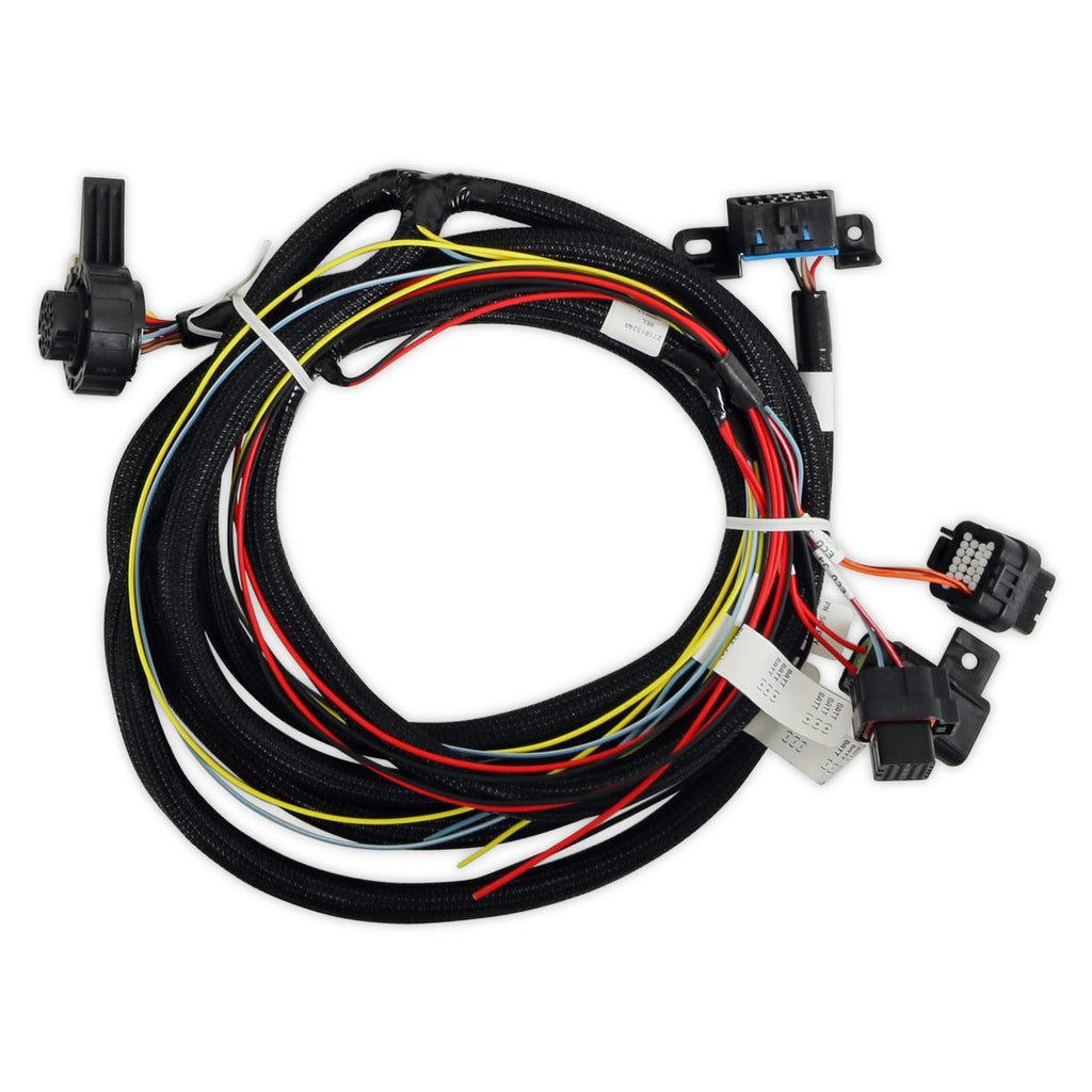 Terminator-X-Max-58X-Late-Truck-With--6L80-Control