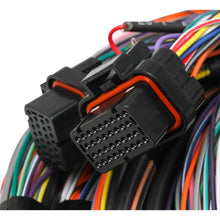 Load image into Gallery viewer, Unterminated-15-Flying-Lead-Main-Harness