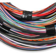 Load image into Gallery viewer, Unterminated-15-Flying-Lead-Main-Harness