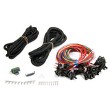Holley 558-208 Unterminated 24 injector MPFI harness