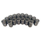 COMP Cams 983-16 Engine Valve Spring Kit