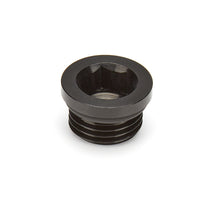 Load image into Gallery viewer, WATERMAN RACING COMP. 45329 Fitting Plug ORB -6an Steel