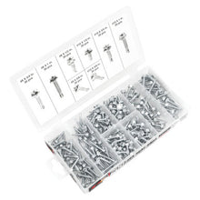Load image into Gallery viewer, Performance Tool W5220 200 pc. Hex Head Self Drilling Screws