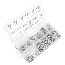 Load image into Gallery viewer, Performance Tool W5222 347 pc. Metric Nuts &amp; Bolts Assortment