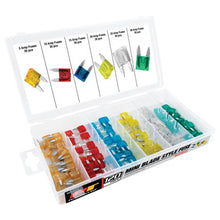 Load image into Gallery viewer, Performance Tool W5369 120 pc. Mini Fuse Assortment