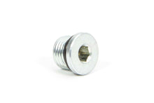 Load image into Gallery viewer, WINTERS 67874 Port Plug  #6 AN
