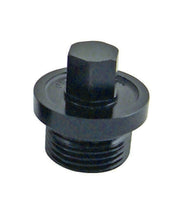 Load image into Gallery viewer, WINTERS 6857-01 Inspection Plug Small 9/16 Hex