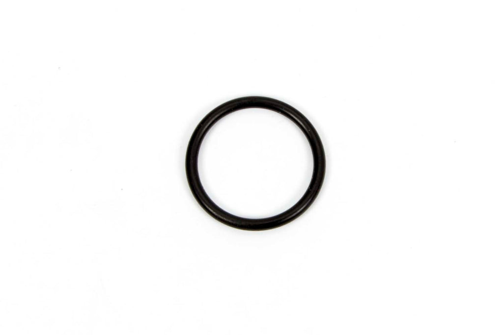 WINTERS 7454 O-Ring For Inspection Plug