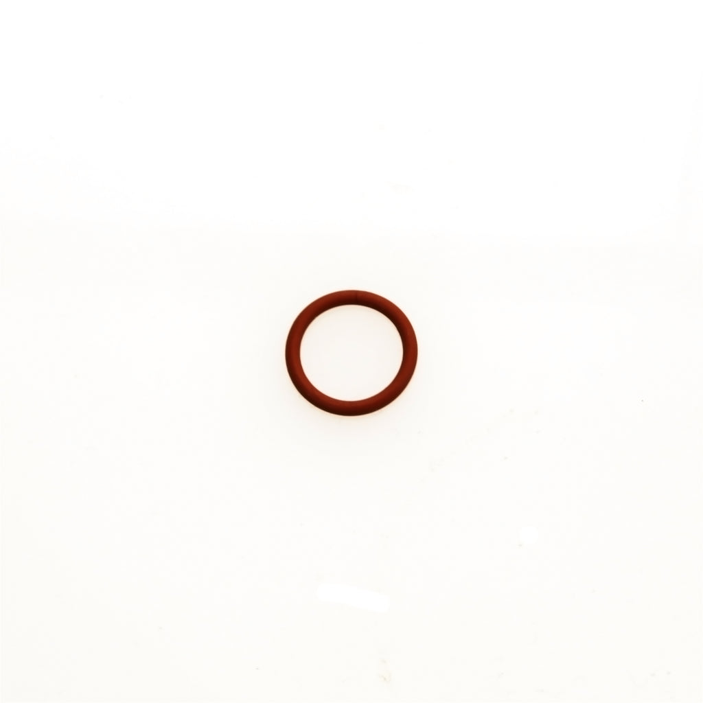 Wg-Valve-Guide-O-Ring