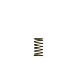 Turbosmart TS-0550-3089 Gen-V WG60 3psi Inner Spring