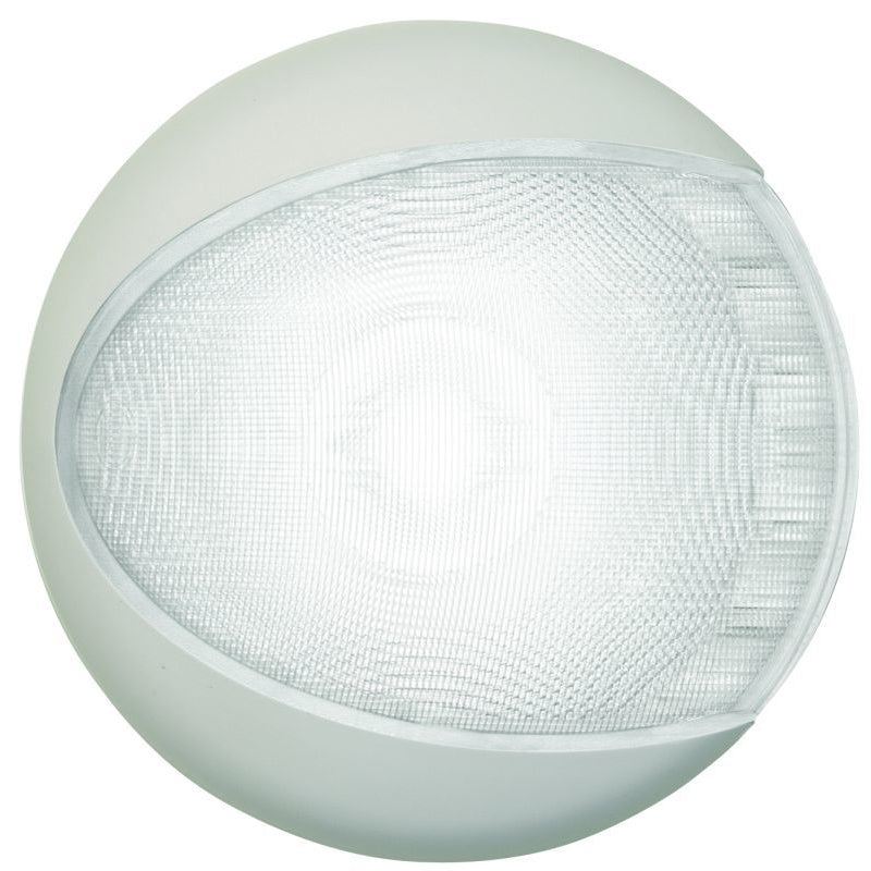 White---White-Shroud