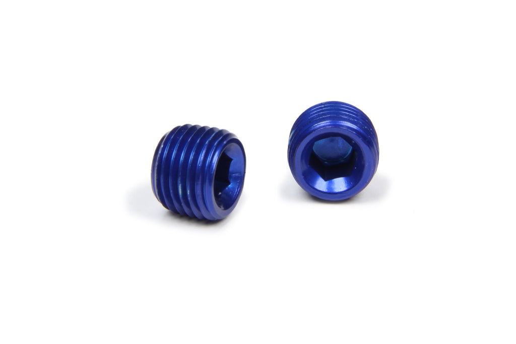 XRP-XTREME RACING PROD. 993203 1/4in Allen Head Pipe Plug (2pk)