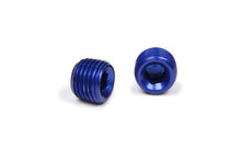 Load image into Gallery viewer, XRP-XTREME RACING PROD. 993203 1/4in Allen Head Pipe Plug (2pk)