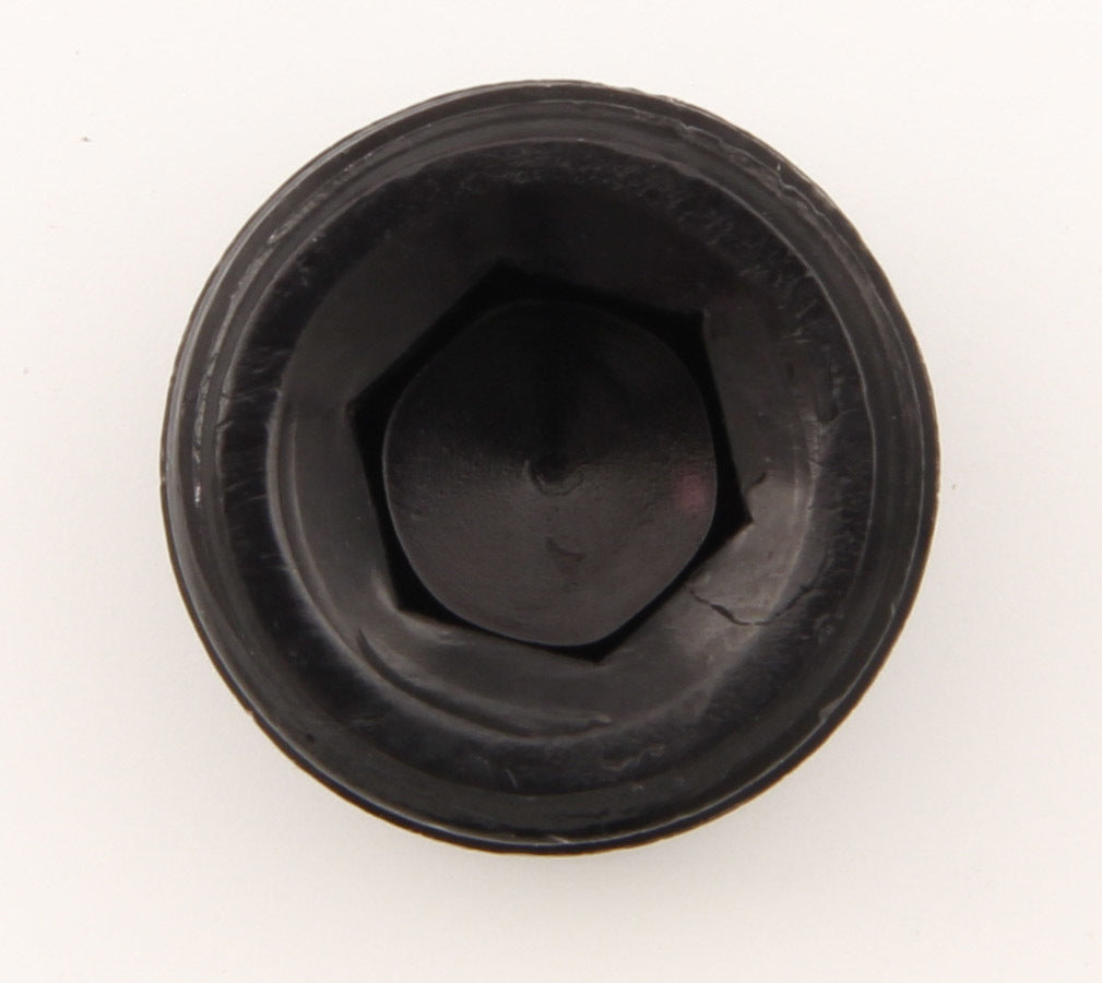 XRP-XTREME RACING PROD. 993205BB Allen Pipe Plug - 1/2in Black
