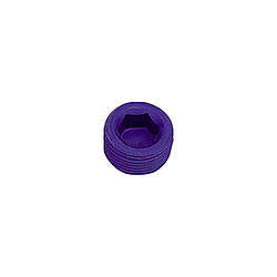 XRP-XTREME RACING PROD. 993207 1in Pipe Plug (Allen)