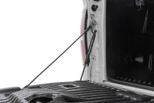 Load image into Gallery viewer, Rough Country 73214 Tailgate Assist for Select Ford F-150
