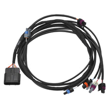 Load image into Gallery viewer, Pro-Flo-4-Plus-Efi-Sensor--Output-Harness-36165-Chevy-Ls-Using-2-Pin-Alternator