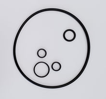 Load image into Gallery viewer, Sagianw-Self-Contained-Power-Steering-Pump-Seal-Kit.
