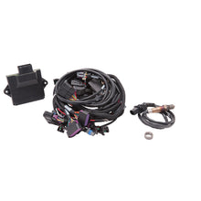 Load image into Gallery viewer, Pro-Flo-4-Ecu--Engine-Harness-Kit-For-Gen-Iv-58X-Ls-Engines