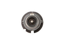 Load image into Gallery viewer, Diode Dynamics DD1039P Direct replacement for your factory bulb. for Select Acura ILX, Acura MDX, Acura NSX, Acura RDX, Acura RL, Acura TL, Acura TSX, Acura ZDX, Audi A3, Audi A4, Audi A6, Audi RS6, Audi S4, Audi S6, Audi S8, Audi TT, BMW 320i, BMW